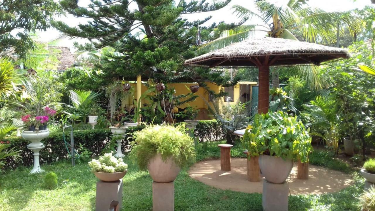 Embiente Guest House Negombo Exterior photo